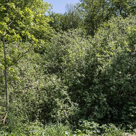 3 Bedroom Gorgeous In Prázdninový dům